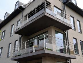 inox terrasbalustrade